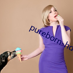 pureborn-hd