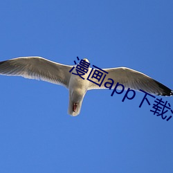 漫画app下载汅ios （吐肝露胆）