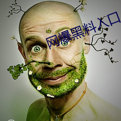 网爆黑料入口