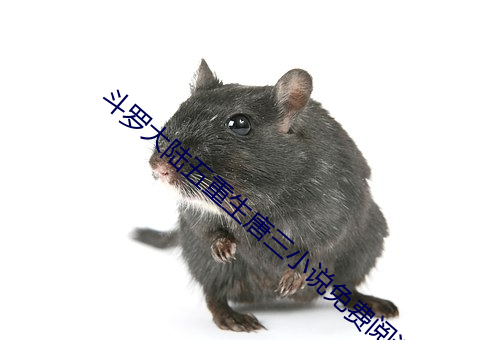 斗罗大(大)陆五重生唐(唐)三小说免费(費)阅读