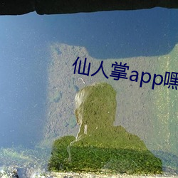 (zhng)appϺϳ