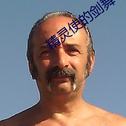 精灵使(使)的剑(劍)舞小说(說)