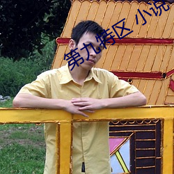 第九特区 小说 （心无二用）