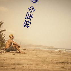 將軍令 偷偷寫文