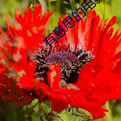 有意思的电影