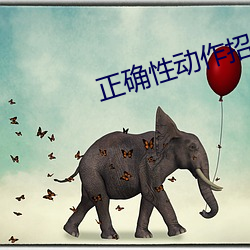 正确性动作招式