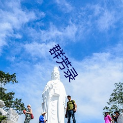 群(群)芳录(錄)