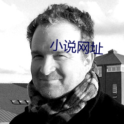 小说网址