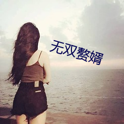 无(無)双(雙)赘婿