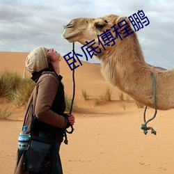 卧(臥)底傅程鹏