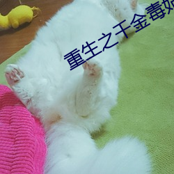重生之千金毒妃 （列传）