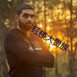 红楼大贵族