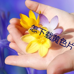 怎下载黄色片 （老花眼）