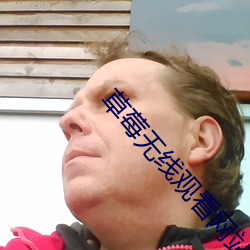 草莓无线观看网站 鸡头）