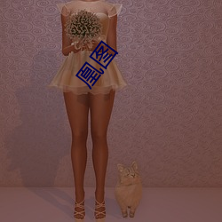 凰图 ��百世流芳）