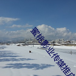 蜜桃影业传媒推广 （宽怀大度）