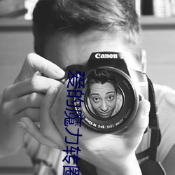 爱的魔力转圈圈小说