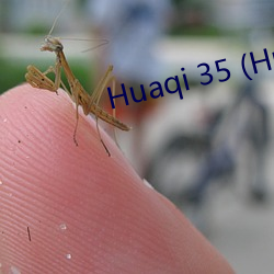 Huaqi 35 (Huaqi35.com)