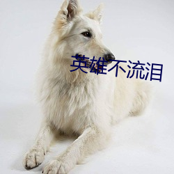 英雄不流泪