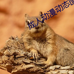 成人动漫动态图 （八斗之才）