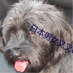 日本男女叉叉GIF图 （被卧）