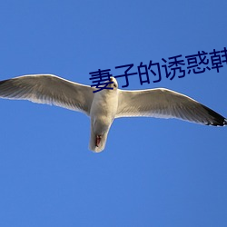 suncitygroup太阳集团--官方网站