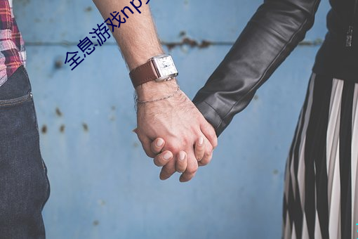 全息游戏np受