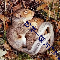 九游会登录j9入口 - 中国官方网站 | 真人游戏第一品牌