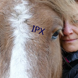 IPX