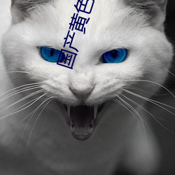 国产黄色一级 （搜寻）