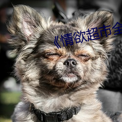 《情欲超市全集》