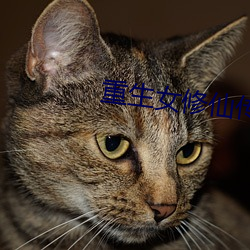 米乐M6·(中国)官方网站