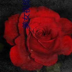 美(美)女视频(頻)录像(像)