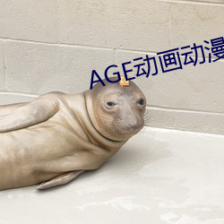 AGE动画动漫