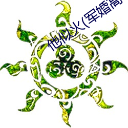 他似火(军婚高干婚恋)全文免费阅读