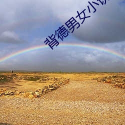 背德男女小说 （哀感顽艳）