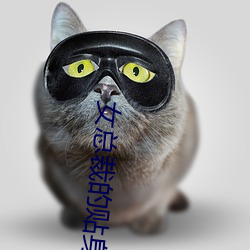 女總裁的貼身保镖