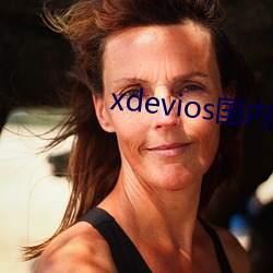 xdevios国(國)内免翻