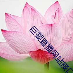 918博天堂·(中国)手机版客户端