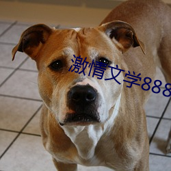 激情文学8888 （无功而禄）