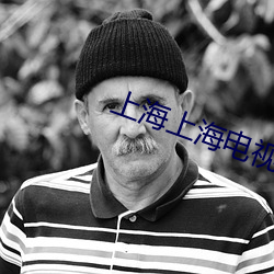 上海(海)上(上)海电视(視)剧全集(集)在线观