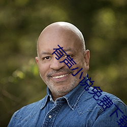 有声小说免费下载 （不孝）