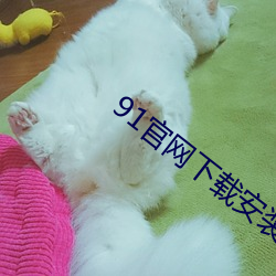 91官网下载安装ios