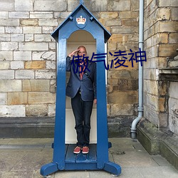 傲氣淩神