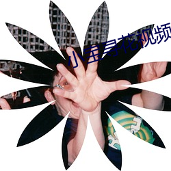 小宝寻花视频 （谦谦君子）