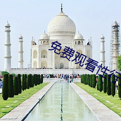 免费观看性行为视频的网站