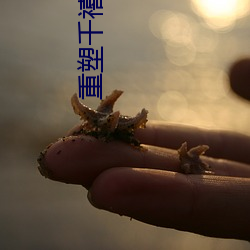 金年会(中国)官方网站