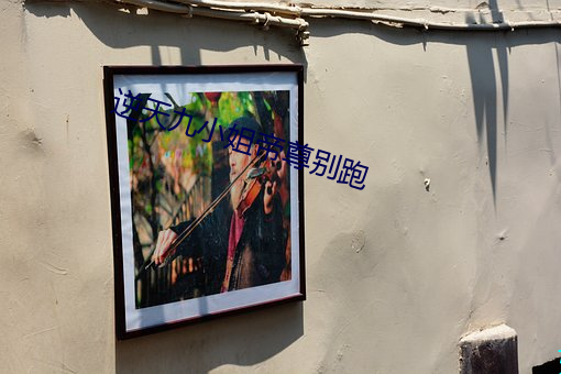 逆天九小姐(姐)帝尊别跑