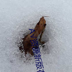 √资源新版在线天堂