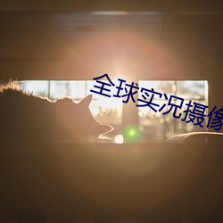 全球實況攝像頭